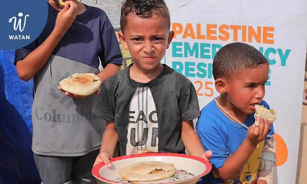Ce Que Vous Devez Savoir sur l'Appel aux Dons Gaza